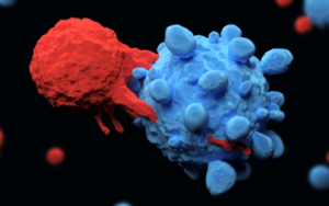 Therapy for Patients with Relapsed High-Risk Neuroblastoma