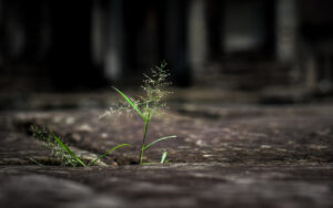 Caring For Ourselves So We Can Care For Others: Resilience for Healthcare Professionals