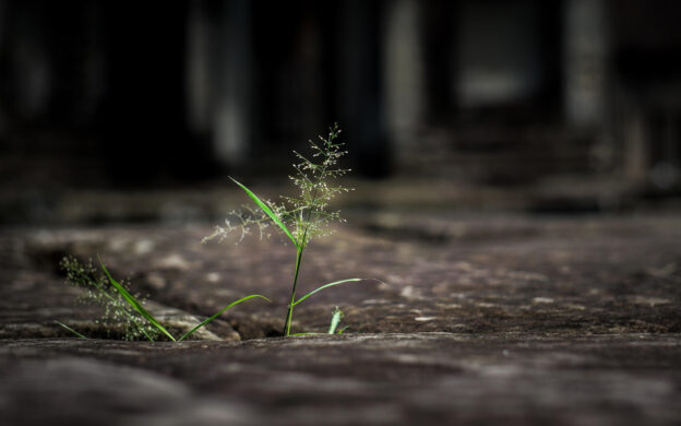 Caring For Ourselves So We Can Care For Others: Resilience for Healthcare Professionals