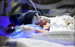 Transplacental Antibody Transfer and Neonatal Disease Prevention